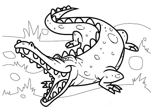 Раскраска: крокодил (Животные) #4857 - Бесплатные раскраски для печати