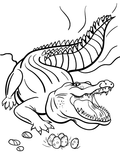 Раскраска: крокодил (Животные) #4861 - Бесплатные раскраски для печати