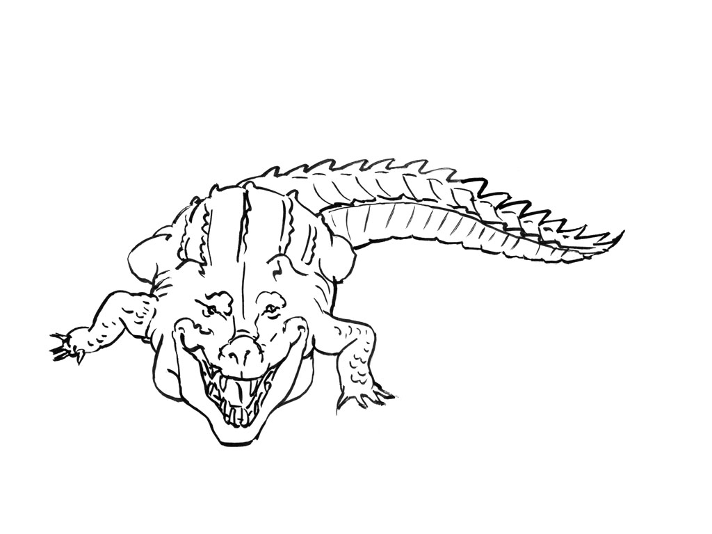 Раскраска: крокодил (Животные) #4876 - Бесплатные раскраски для печати