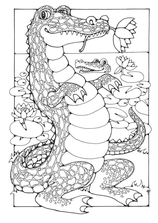 Раскраска: крокодил (Животные) #4887 - Бесплатные раскраски для печати