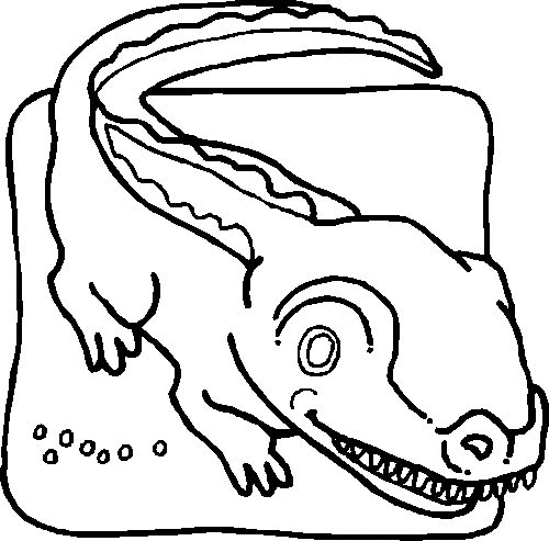 Раскраска: крокодил (Животные) #4901 - Бесплатные раскраски для печати