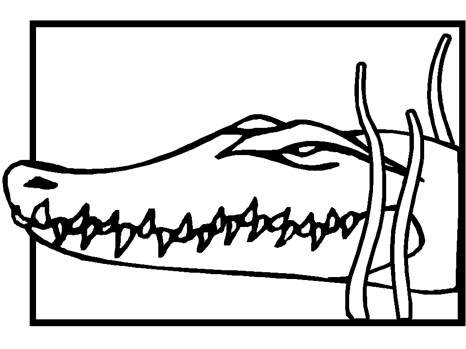 Раскраска: крокодил (Животные) #4916 - Бесплатные раскраски для печати