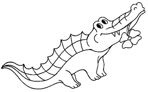 Раскраска: крокодил (Животные) #4917 - Бесплатные раскраски для печати