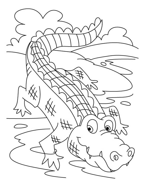 Раскраска: крокодил (Животные) #4924 - Бесплатные раскраски для печати