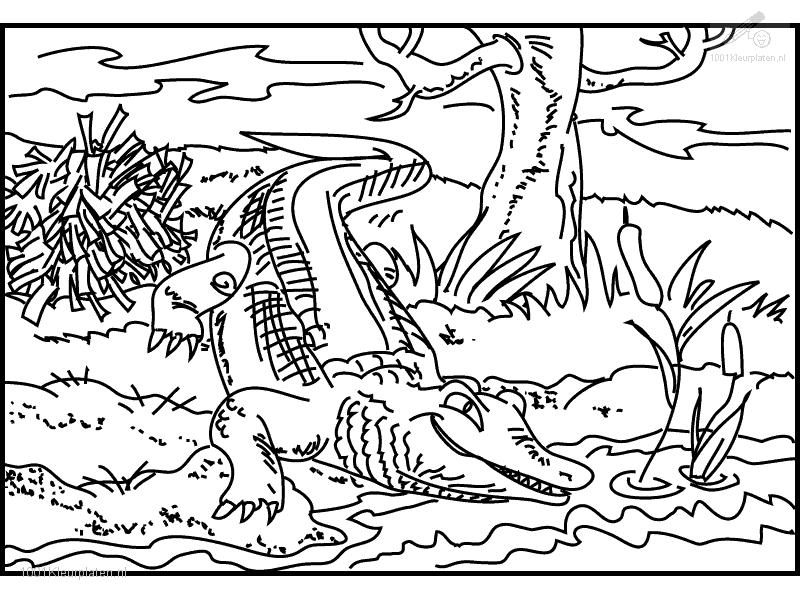 Раскраска: крокодил (Животные) #4942 - Бесплатные раскраски для печати