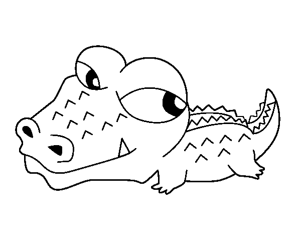 Раскраска: крокодил (Животные) #4965 - Бесплатные раскраски для печати
