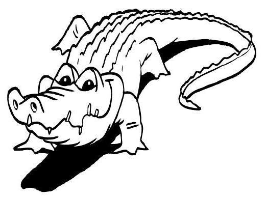 Раскраска: крокодил (Животные) #4968 - Бесплатные раскраски для печати