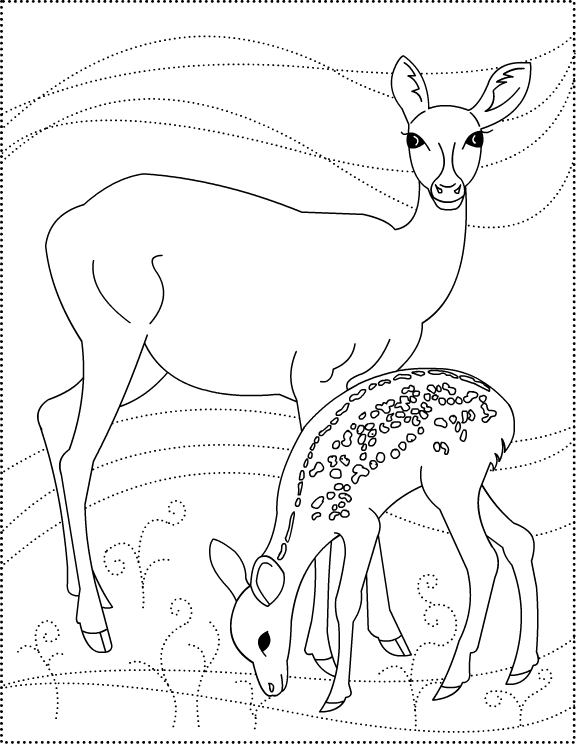 Раскраска: косуля (Животные) #2601 - Бесплатные раскраски для печати