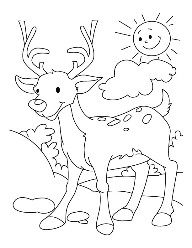 Раскраска: косуля (Животные) #2651 - Бесплатные раскраски для печати