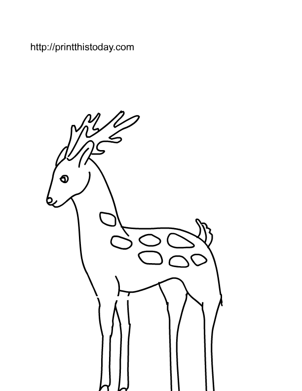 Раскраска: косуля (Животные) #2672 - Бесплатные раскраски для печати