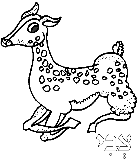 Раскраска: косуля (Животные) #2711 - Бесплатные раскраски для печати
