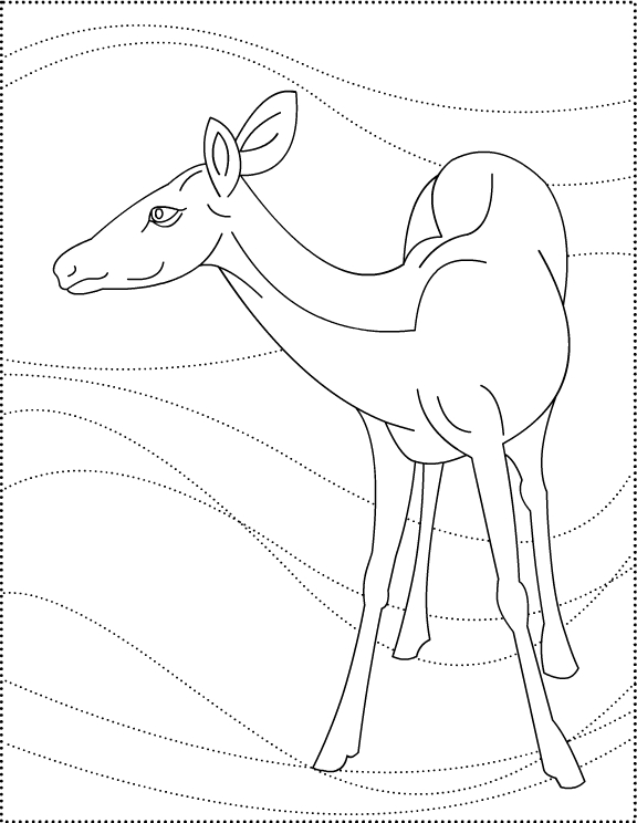 Раскраска: косуля (Животные) #2734 - Бесплатные раскраски для печати