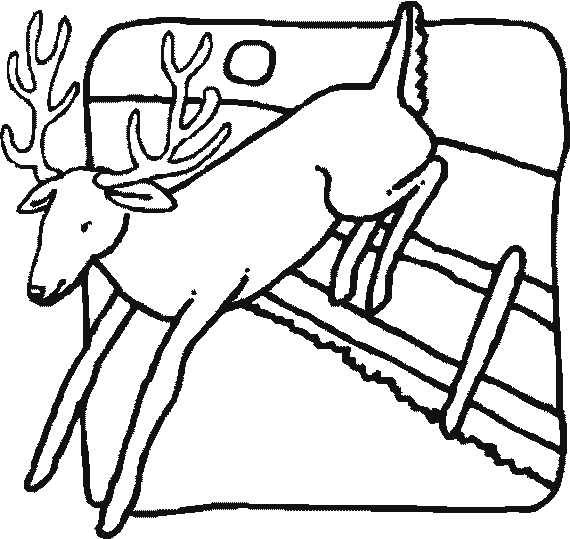 Раскраска: косуля (Животные) #2741 - Бесплатные раскраски для печати