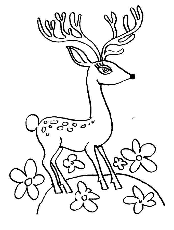 Раскраска: косуля (Животные) #2745 - Бесплатные раскраски для печати