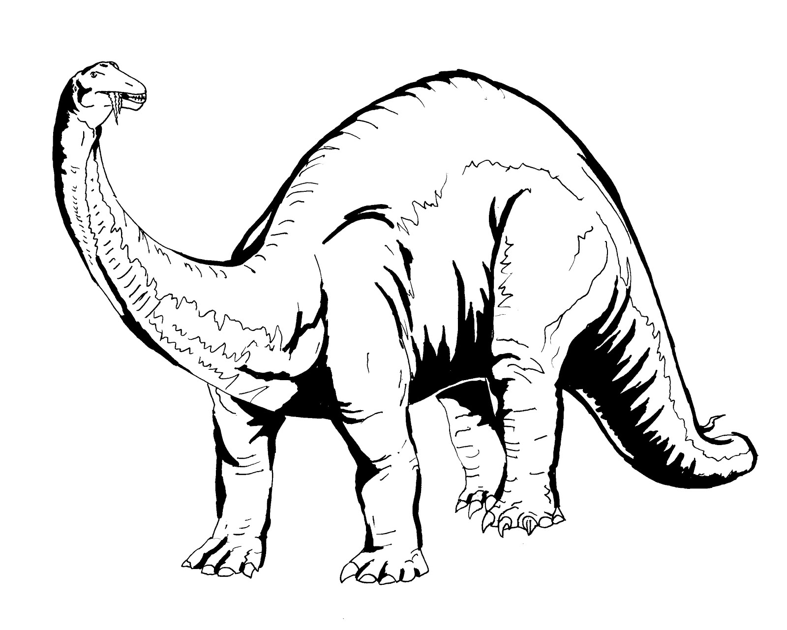 Раскраска: динозавр (Животные) #5497 - Бесплатные раскраски для печати