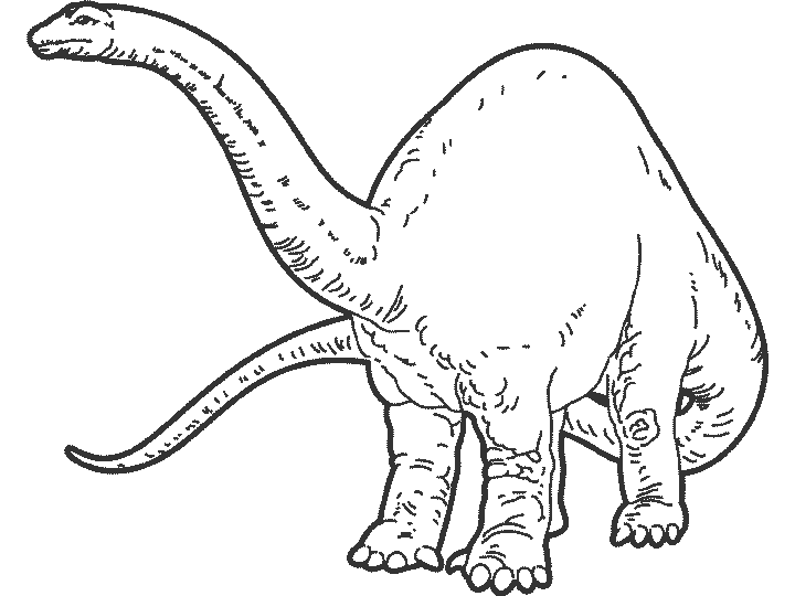 Раскраска: динозавр (Животные) #5498 - Бесплатные раскраски для печати