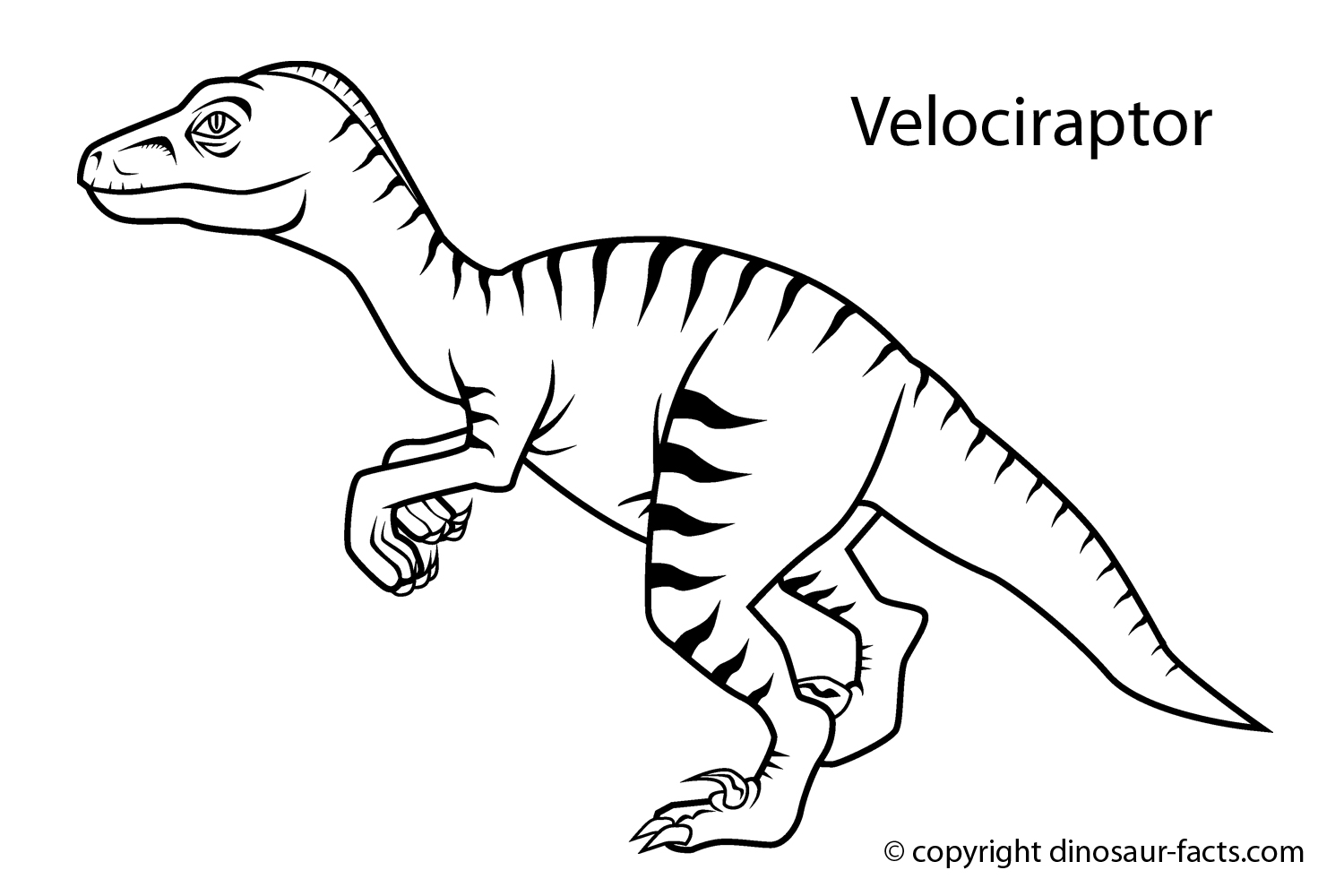 Раскраска: динозавр (Животные) #5517 - Бесплатные раскраски для печати