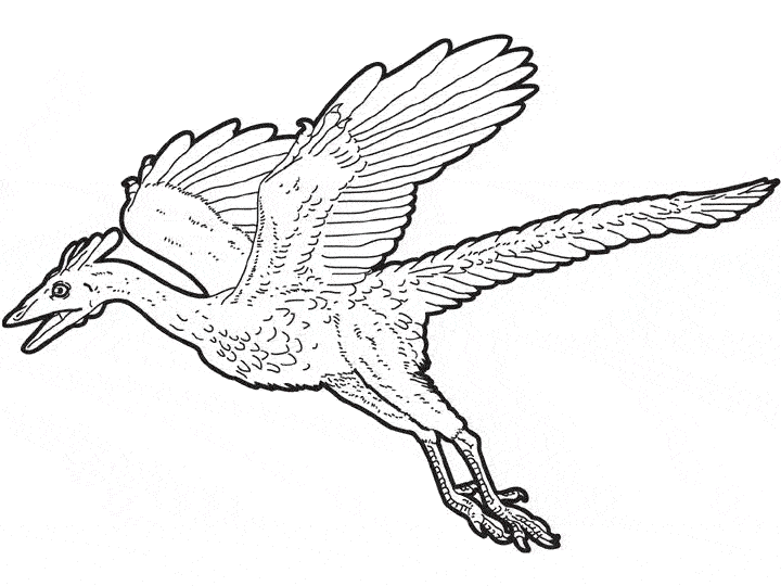 Раскраска: динозавр (Животные) #5519 - Бесплатные раскраски для печати