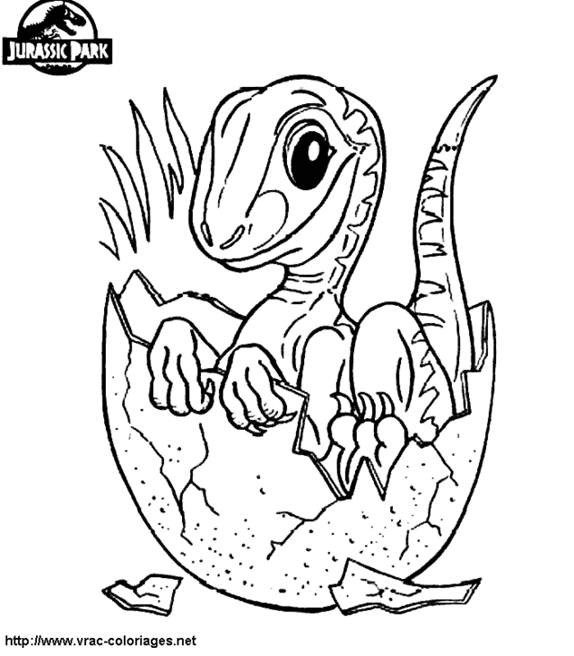 Раскраска: динозавр (Животные) #5538 - Бесплатные раскраски для печати