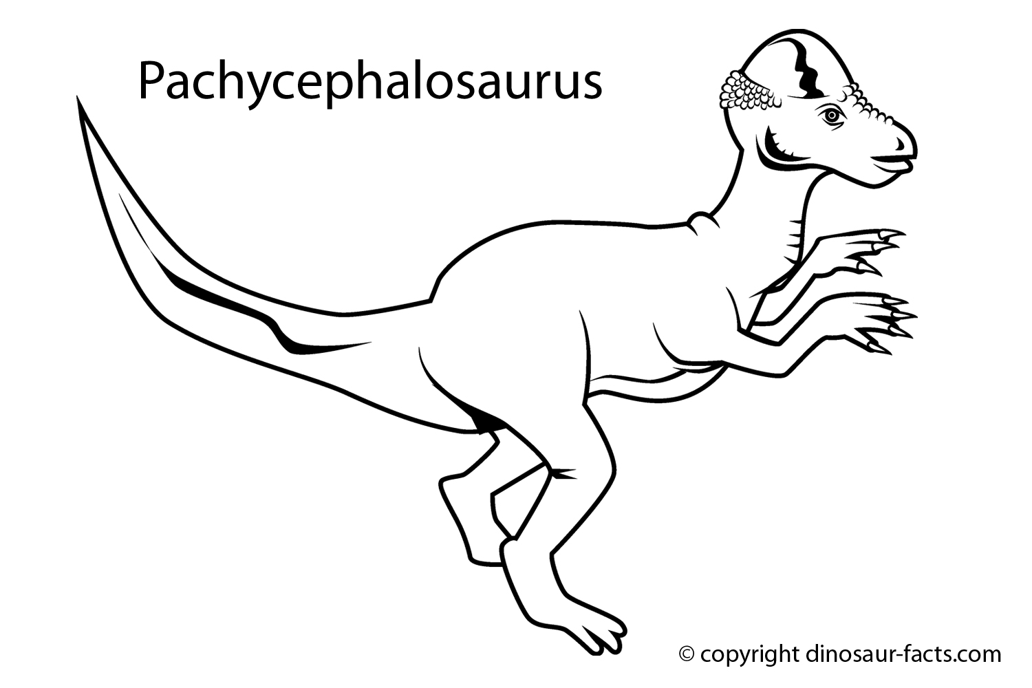 Раскраска: динозавр (Животные) #5659 - Бесплатные раскраски для печати