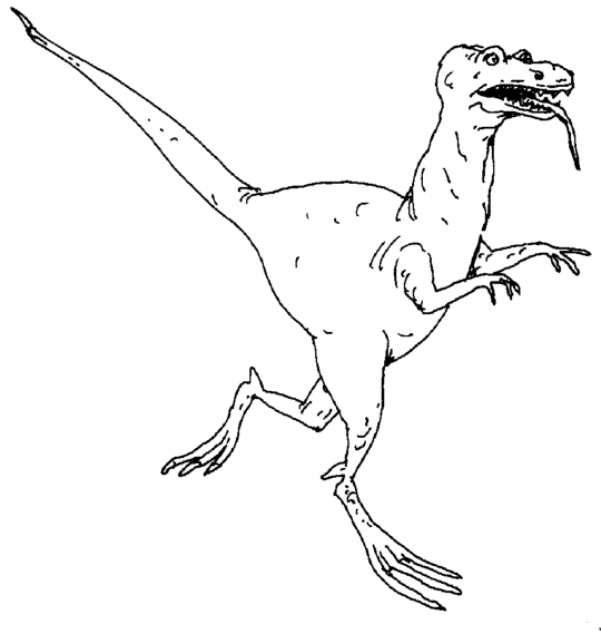 Раскраска: динозавр (Животные) #5673 - Бесплатные раскраски для печати