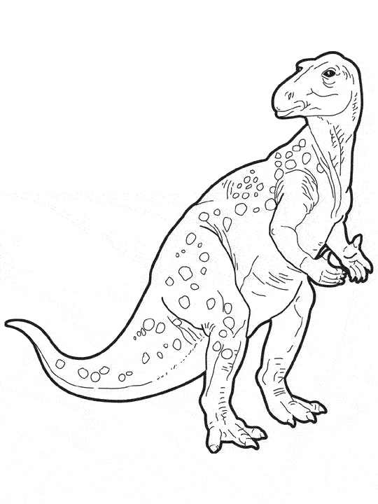 Раскраска: динозавр (Животные) #5681 - Бесплатные раскраски для печати