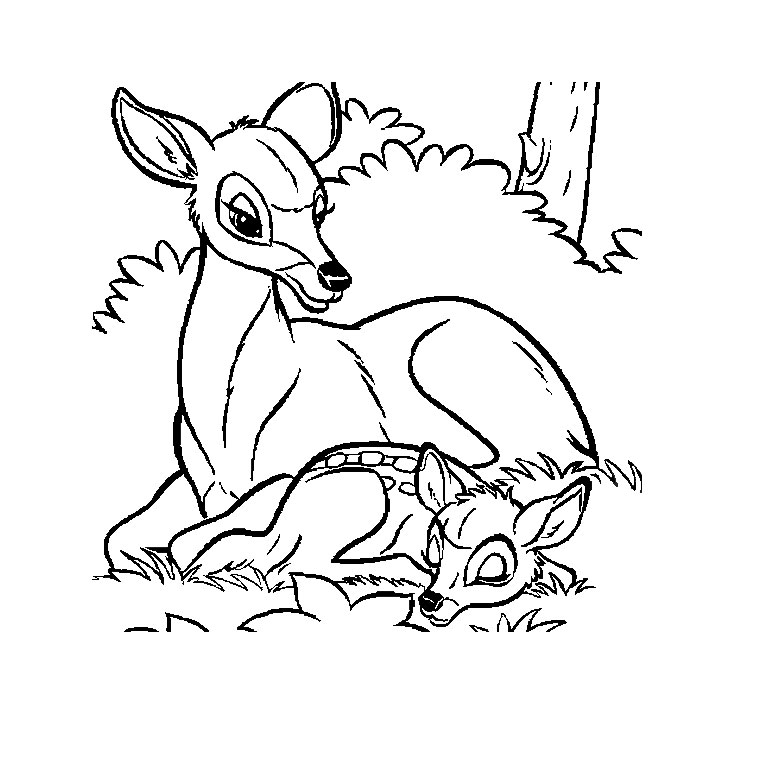 Раскраска: лань (Животные) #1092 - Бесплатные раскраски для печати