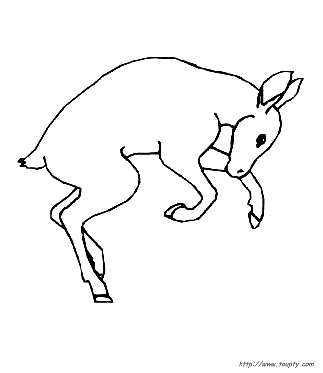 Раскраска: лань (Животные) #1100 - Бесплатные раскраски для печати