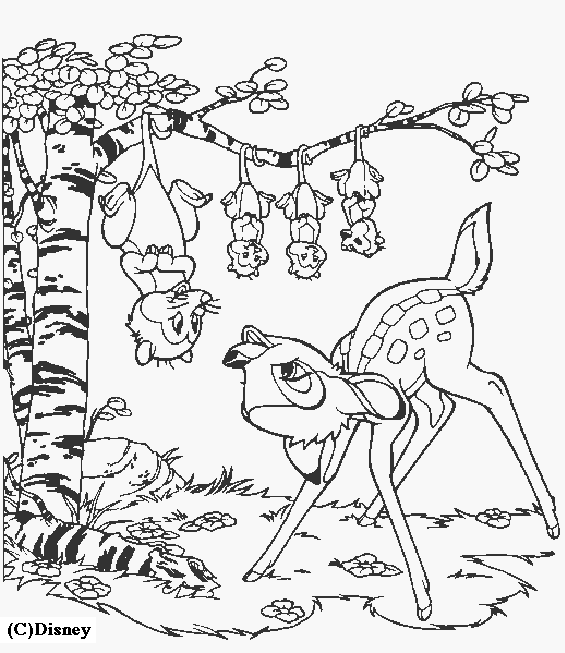 Раскраска: лань (Животные) #1179 - Бесплатные раскраски для печати
