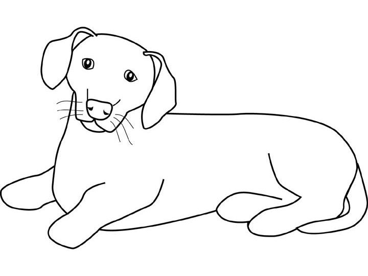 Раскраска: собака (Животные) #3126 - Бесплатные раскраски для печати