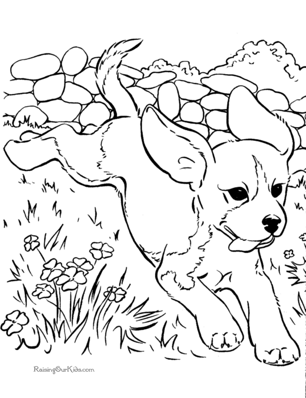 Раскраска: собака (Животные) #3129 - Бесплатные раскраски для печати