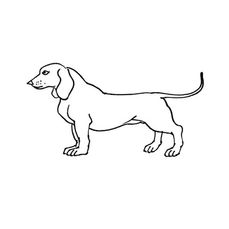 Раскраска: собака (Животные) #3151 - Бесплатные раскраски для печати
