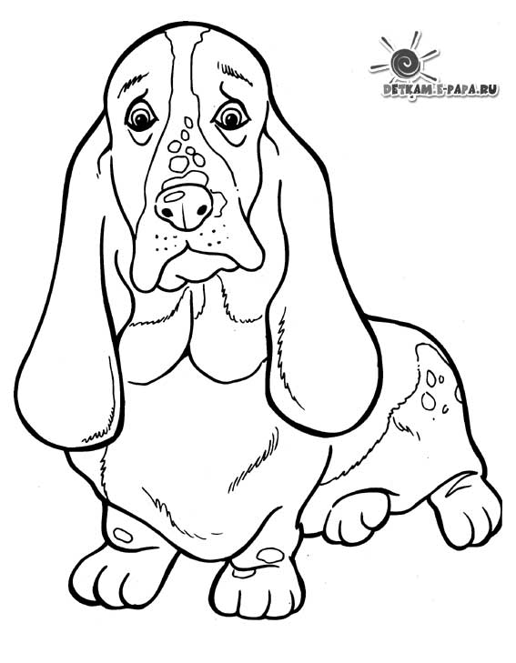 Раскраска: собака (Животные) #3164 - Бесплатные раскраски для печати