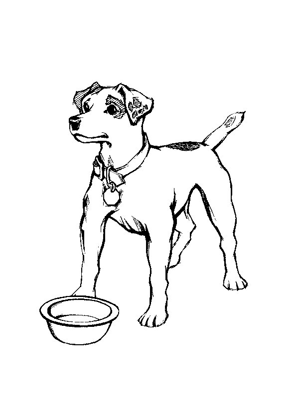 Раскраска: собака (Животные) #3169 - Бесплатные раскраски для печати