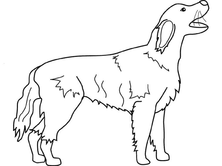 Раскраска: собака (Животные) #3179 - Бесплатные раскраски для печати