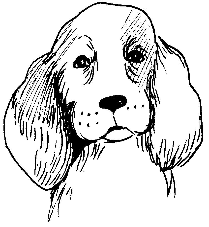 Раскраска: собака (Животные) #3184 - Бесплатные раскраски для печати