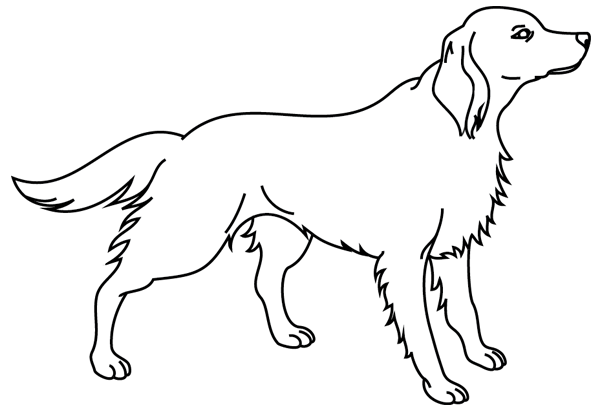 Раскраска: собака (Животные) #3190 - Бесплатные раскраски для печати