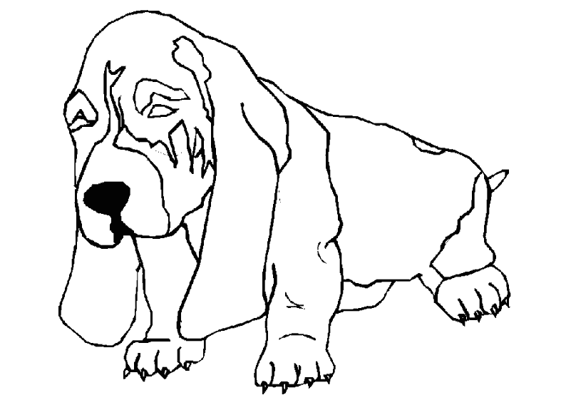 Раскраска: собака (Животные) #3195 - Бесплатные раскраски для печати