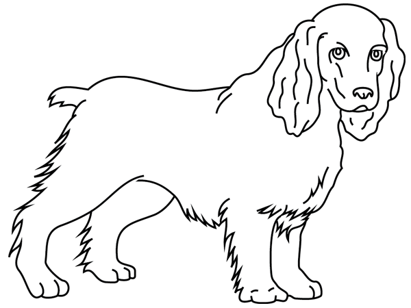 Раскраска: собака (Животные) #3213 - Бесплатные раскраски для печати