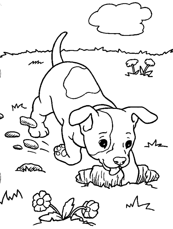 Раскраска: собака (Животные) #44 - Бесплатные раскраски для печати