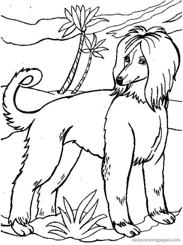 Раскраска: собака (Животные) #50 - Бесплатные раскраски для печати