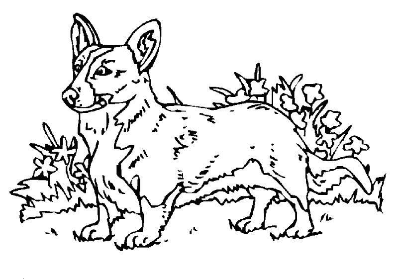 Раскраска: собака (Животные) #73 - Бесплатные раскраски для печати