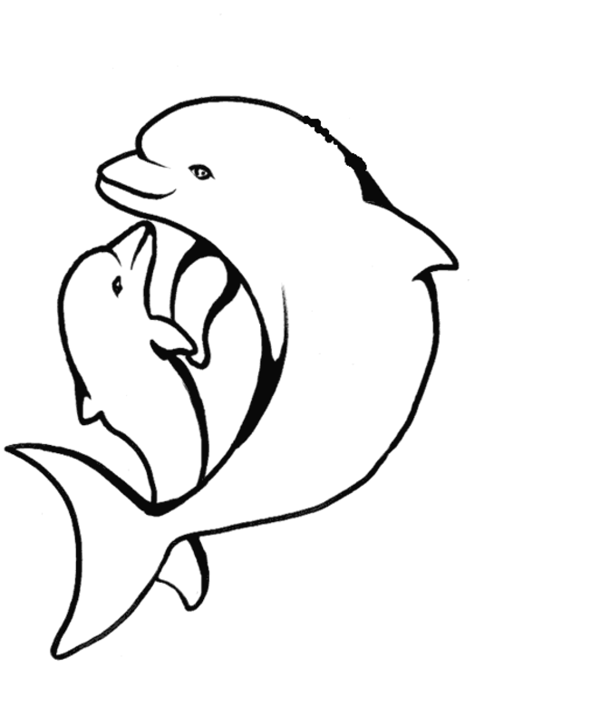 Раскраска: дельфин (Животные) #5091 - Бесплатные раскраски для печати