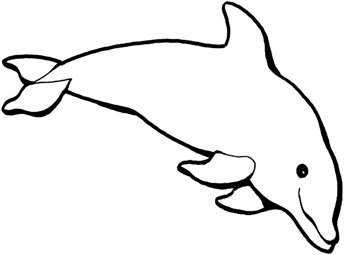 Раскраска: дельфин (Животные) #5095 - Бесплатные раскраски для печати