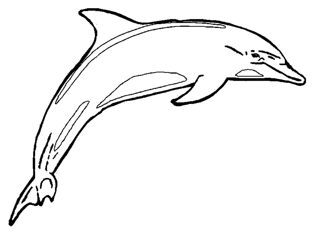 Раскраски дельфины для детей — Распечатайте бесплатно