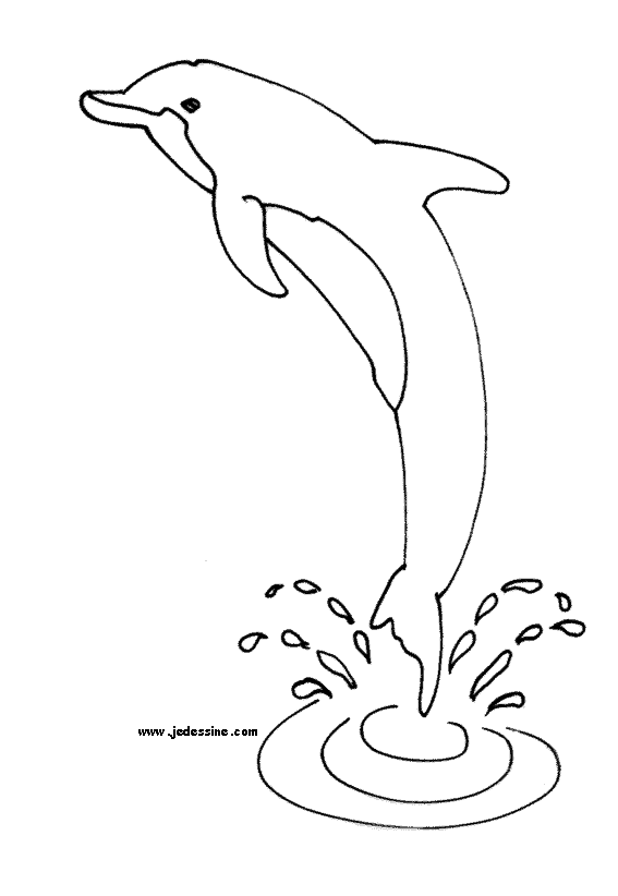 Раскраска: дельфин (Животные) #5101 - Бесплатные раскраски для печати