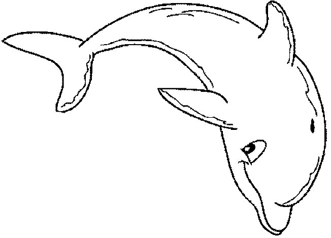 Раскраска: дельфин (Животные) #5112 - Бесплатные раскраски для печати