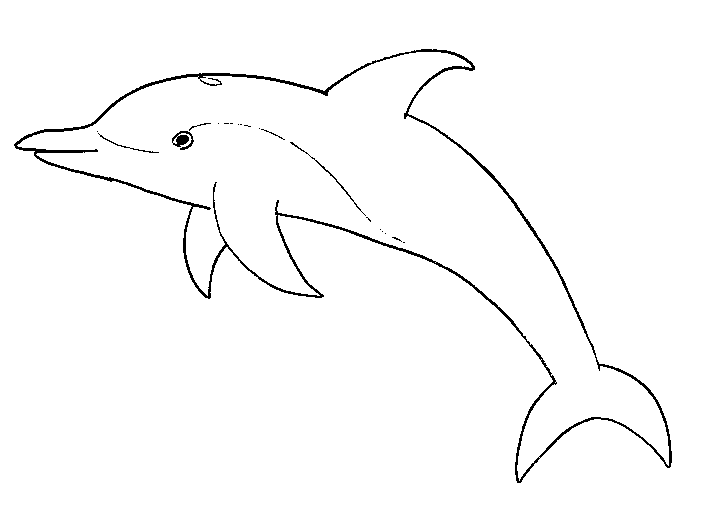 Раскраска: дельфин (Животные) #5114 - Бесплатные раскраски для печати