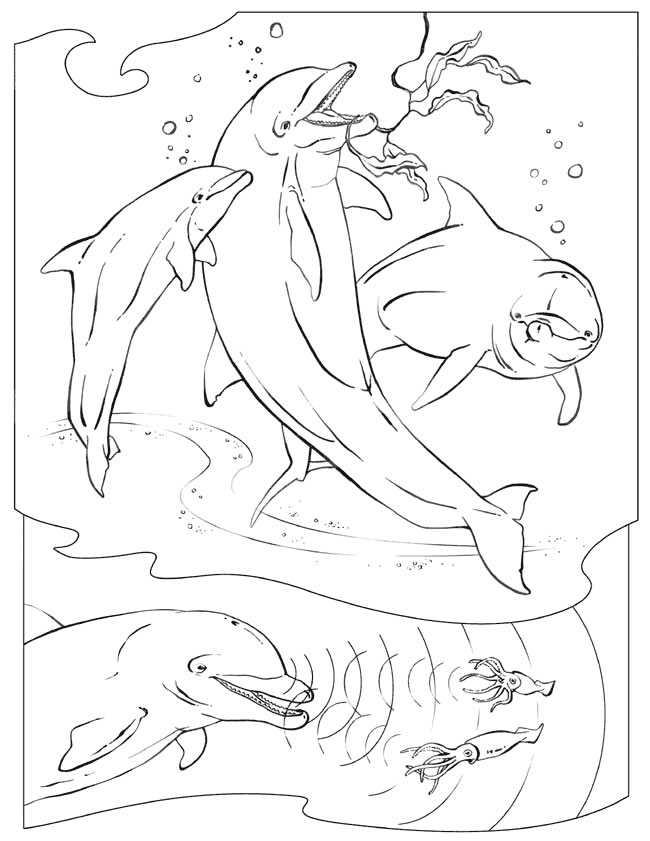 Раскраска: дельфин (Животные) #5121 - Бесплатные раскраски для печати