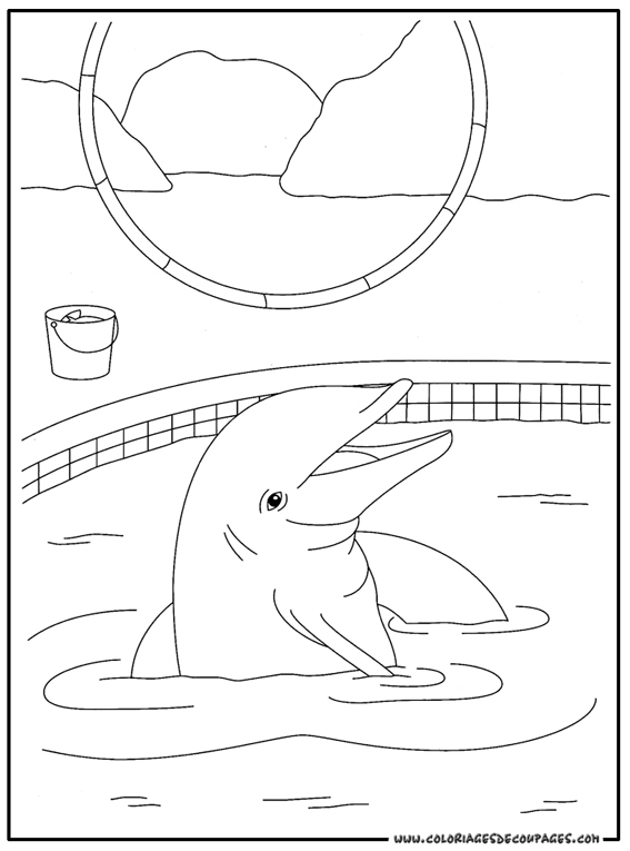 Раскраска: дельфин (Животные) #5122 - Бесплатные раскраски для печати